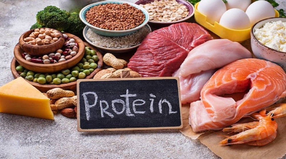 معرفی خوراکی های پروتئین دار